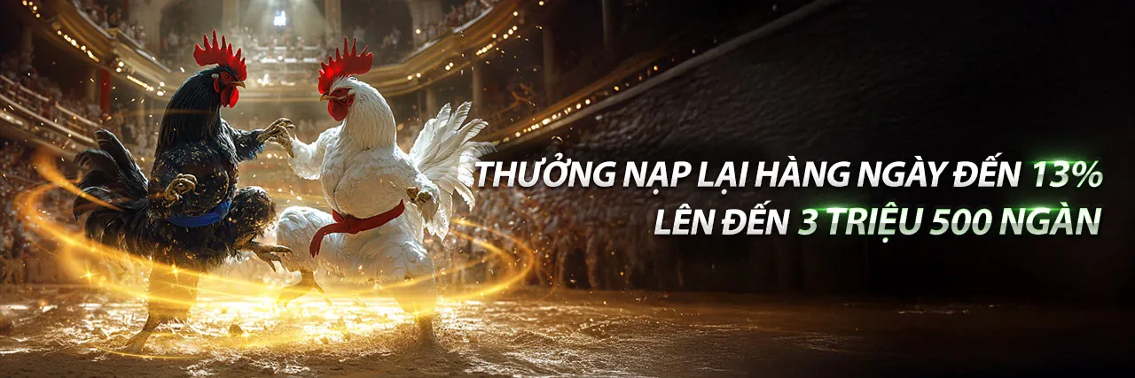 Đá gà trực tuyến 36win apk với các trận đấu sôi động